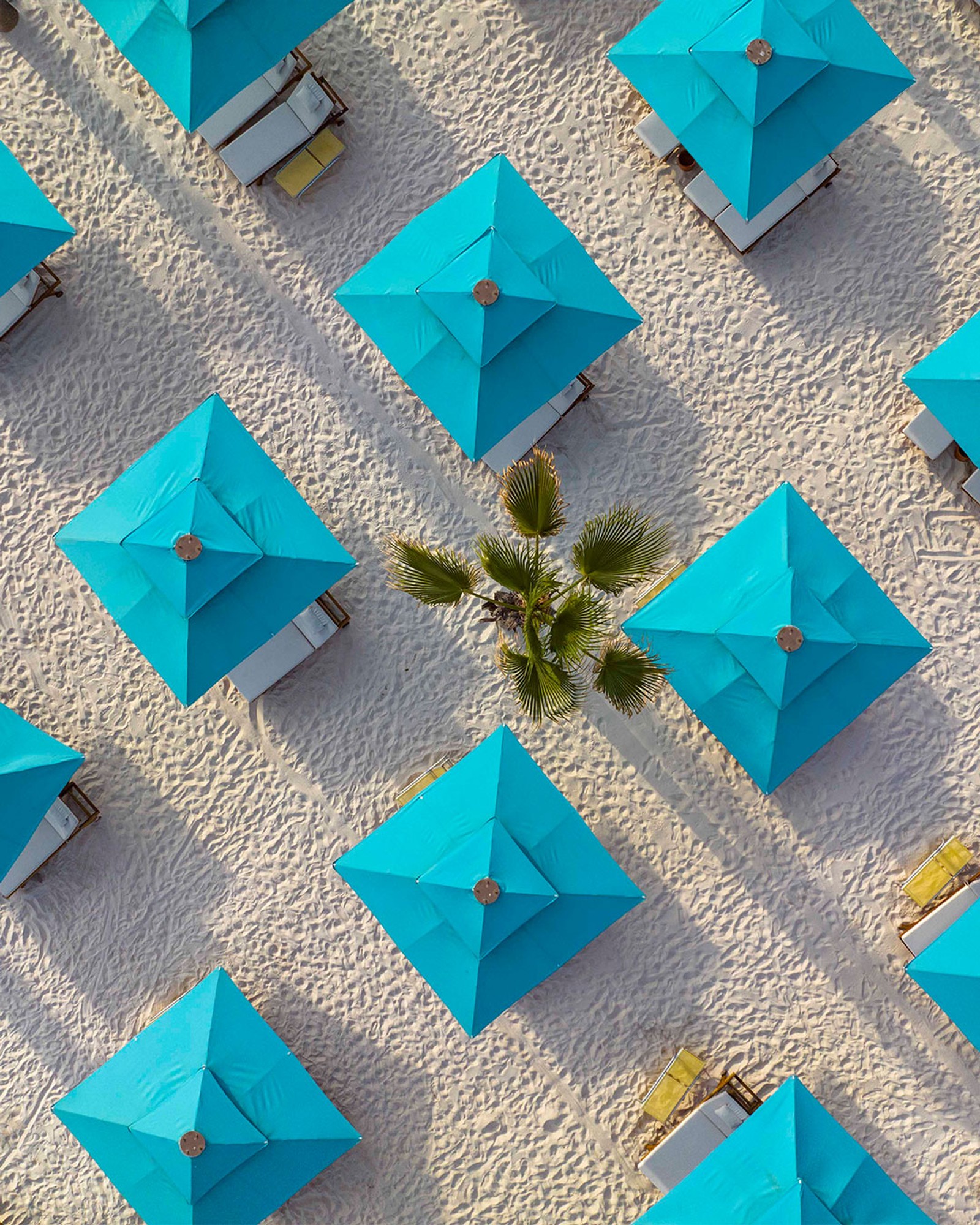 REGNUM CARYA